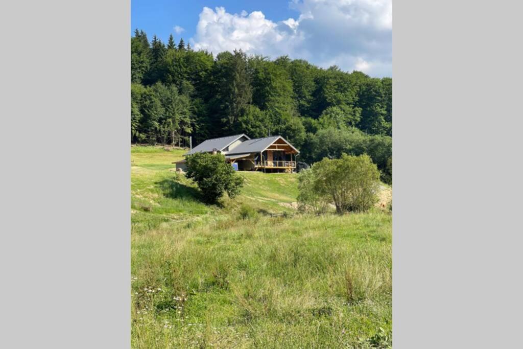 Valley House Cabana Cu Priveliste De Vis Sita Buzaului Exterior photo